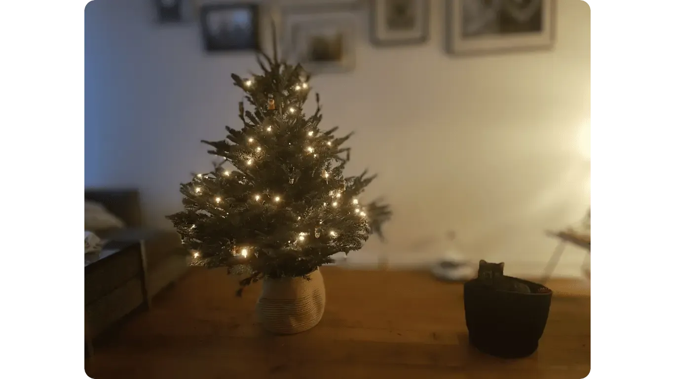 Maya devant le sapin de Noël