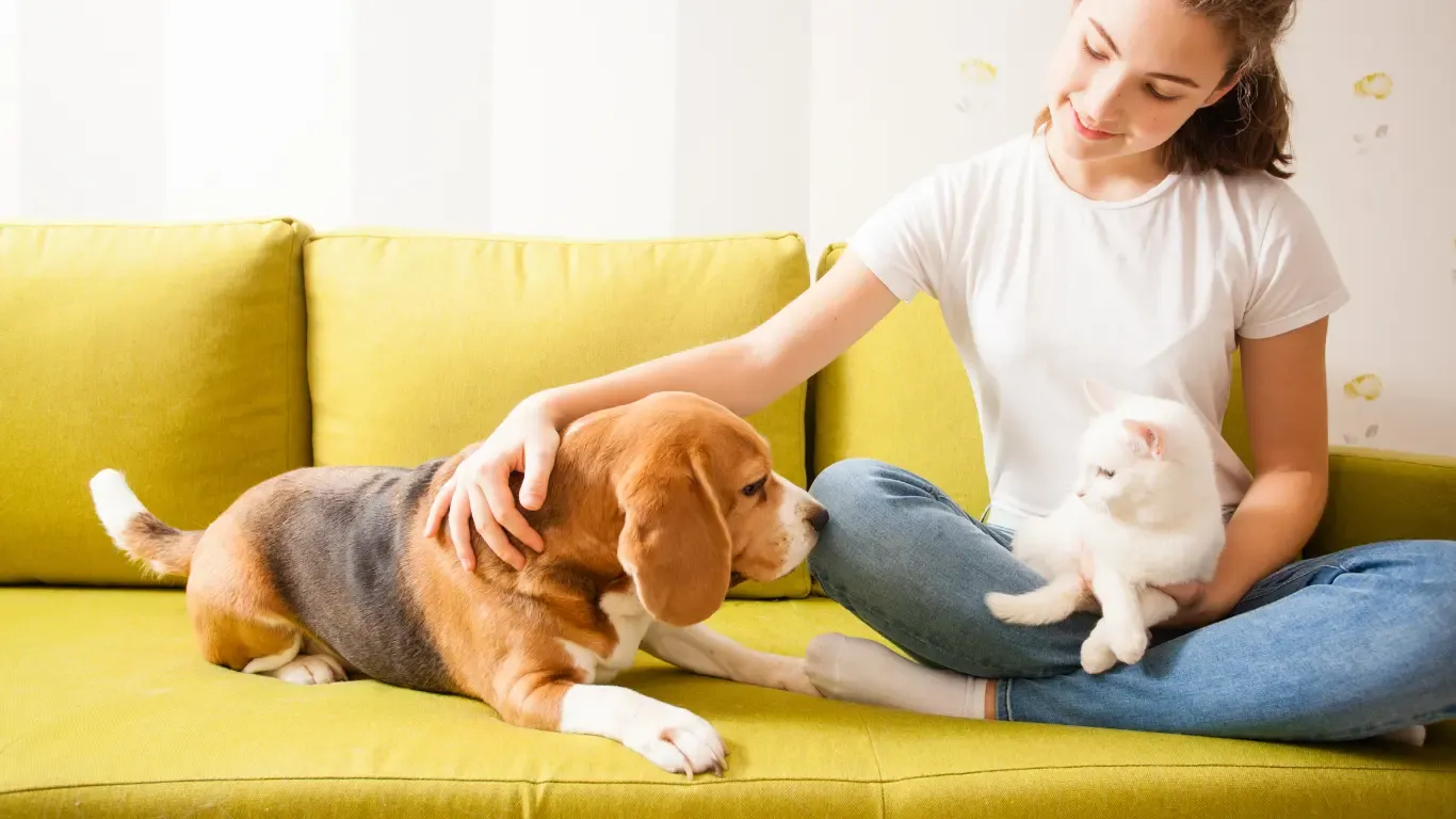 Personne assise sur un canapé avec un chien et un chat